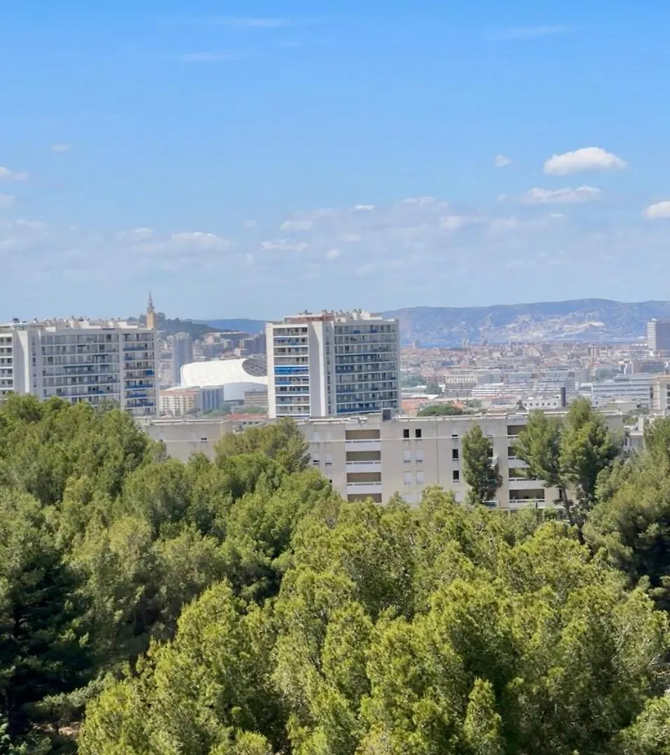 Cocon Calanques Marseille Apartment France